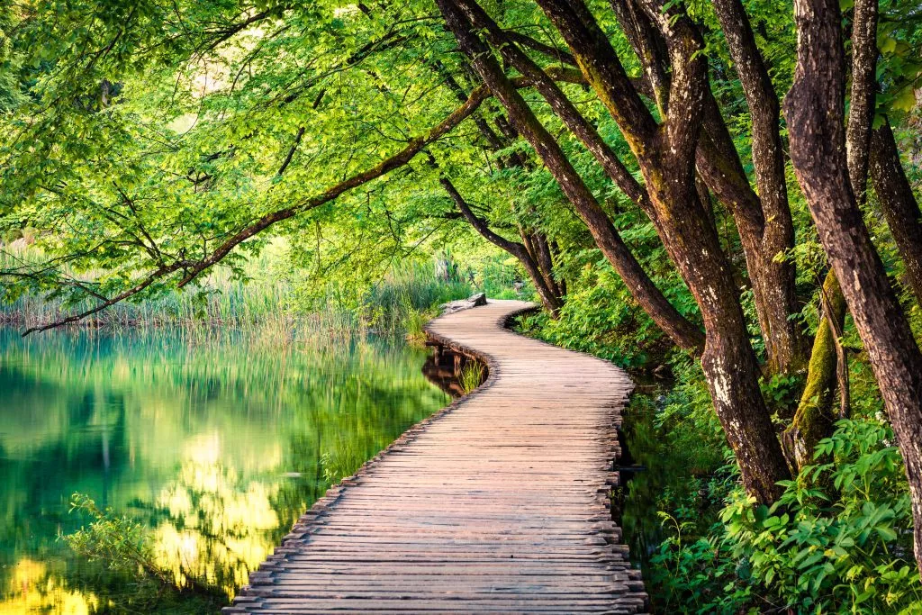 Boardwalk in Plitvice National Park