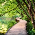 Boardwalk in Plitvice National Park
