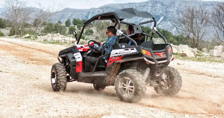Buggy safari