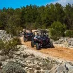 Buggy Safari