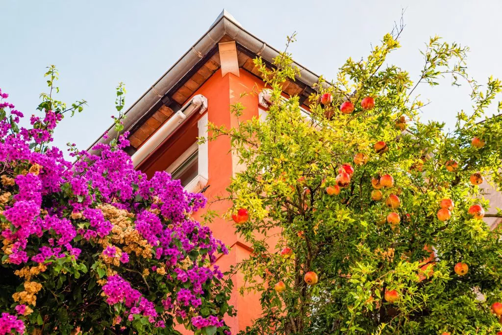 Colourful Istrian views