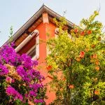 Colourful Istrian views