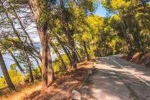 Marjan hill road